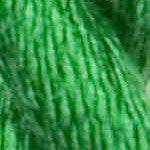 GOLF Vineyard Silk