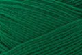 119 PICKLE UNI MERINO MINI 840166816462