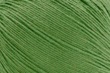 109 CLOVER - BAMBOO POP 847652013855