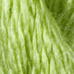 SHAMROCK Vineyard Silk